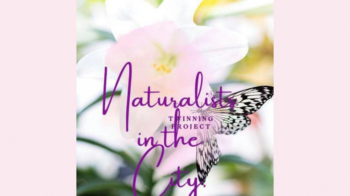 NATURALIST IN THE CITY E-TWINNING PROJESİ